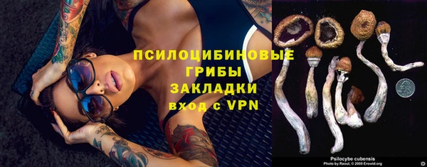 мдпв Михайловск