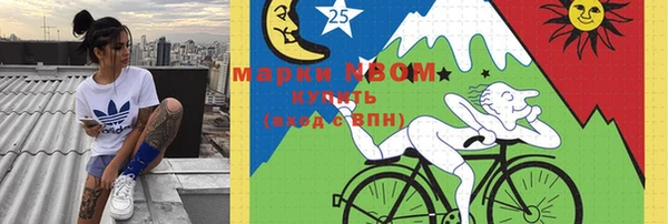 мдпв Михайловск