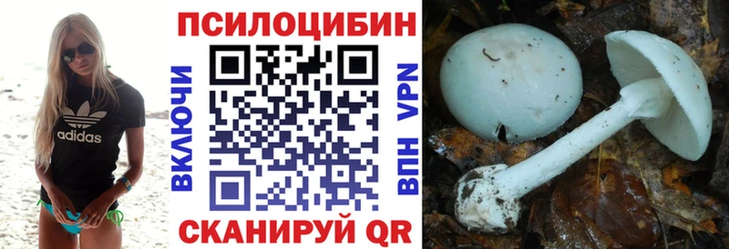 где продают наркотики  Спасск  площадка как зайти  Псилоцибиновые грибы Magic Shrooms 